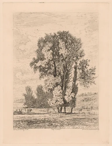Landscape with Clump of Four Trees by Maxime Lalanne, print, 1880-1886