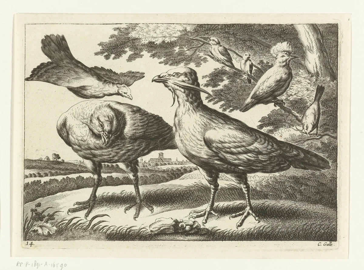 Trapganzen en een kaketoe by Peter van Liesebetten, print, 1654-1678