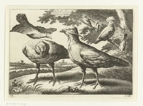 Trapganzen en een kaketoe by Peter van Liesebetten, print, 1654-1678