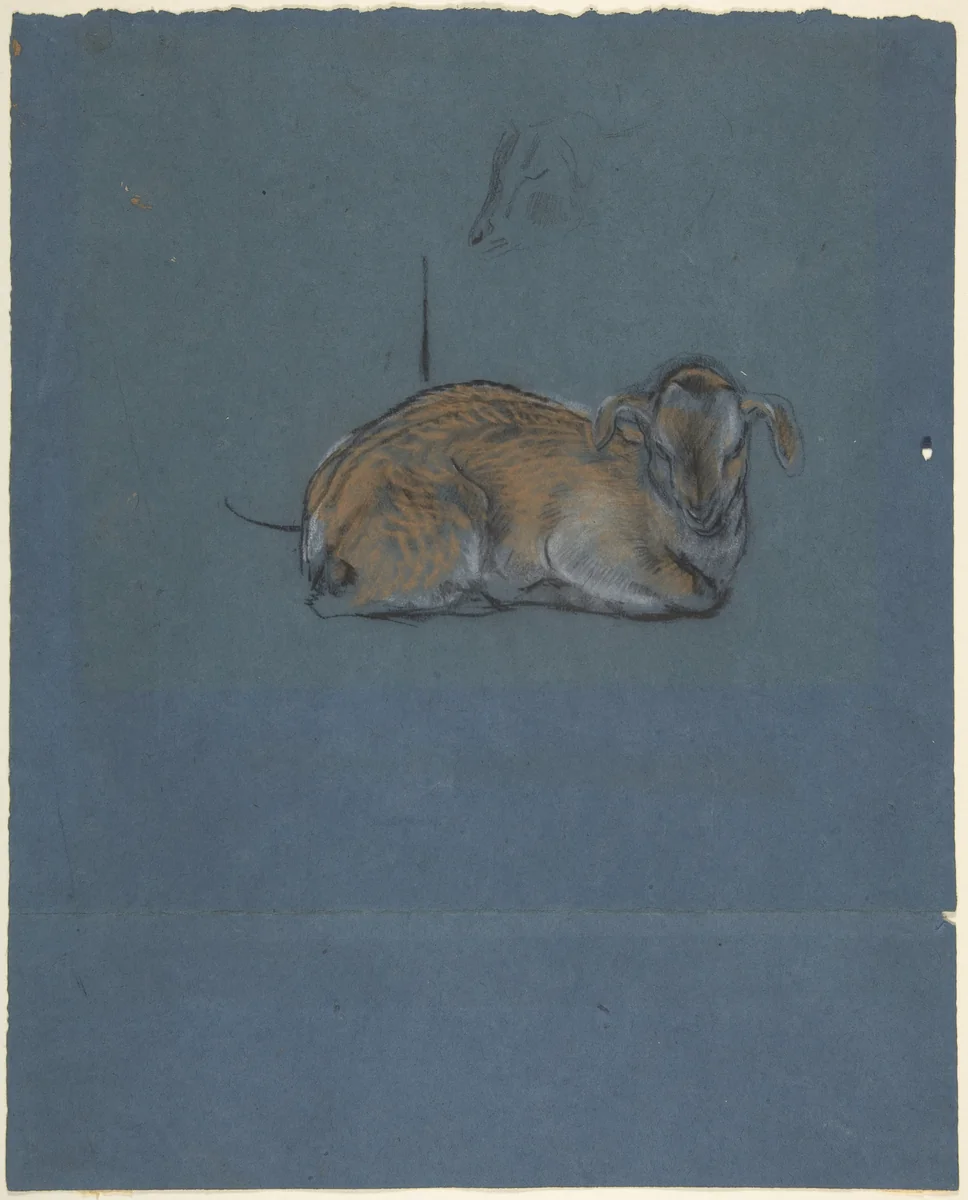 Studies of a young goat by John Macallan Swan, drawing, 1865-1910