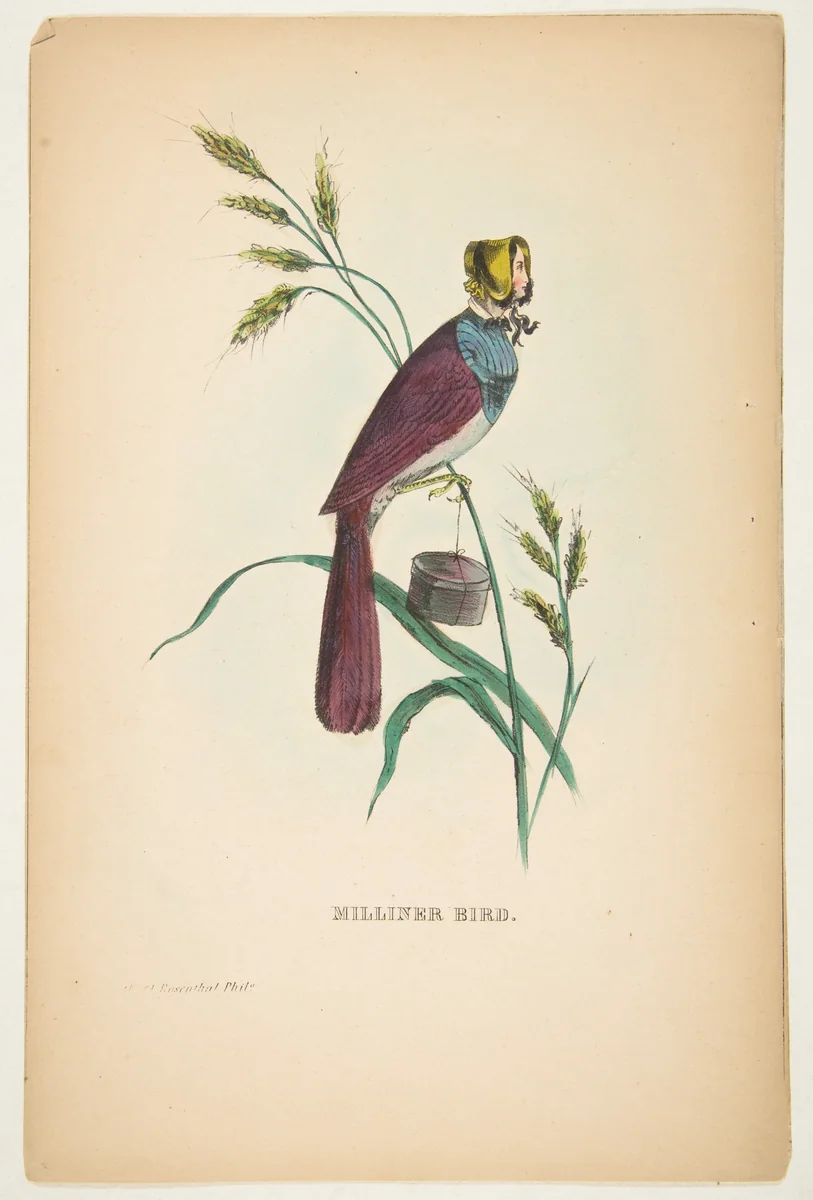 Milliner Bird (Minnie Doyle), from "The Comic Natural History of the Human Race" by Henry Louis Stephens, print, 1851