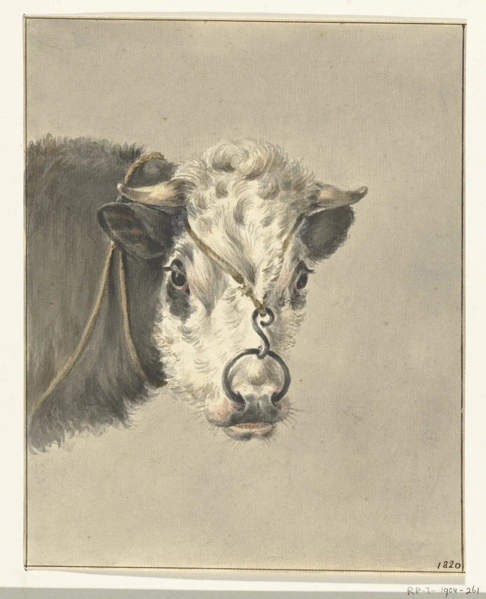 Kop van een koe, met een ring door de neus, van voren by Jean Bernard, drawing, 1820