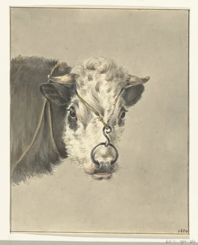Kop van een koe, met een ring door de neus, van voren by Jean Bernard, drawing, 1820