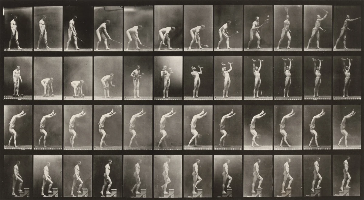 Plate Number 488. A: Lawn tennis. B: Dumbbells. C: Walking on hands. D: Ascending stairs by Eadweard Muybridge, photograph, 1887
