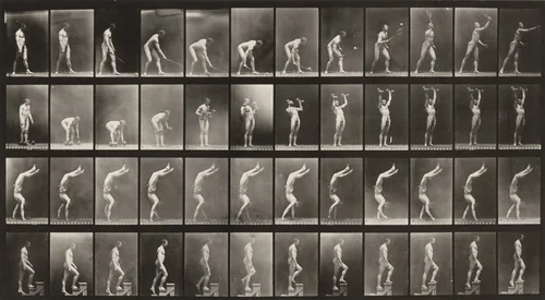 Plate Number 488. A: Lawn tennis. B: Dumbbells. C: Walking on hands. D: Ascending stairs by Eadweard Muybridge, photograph, 1887
