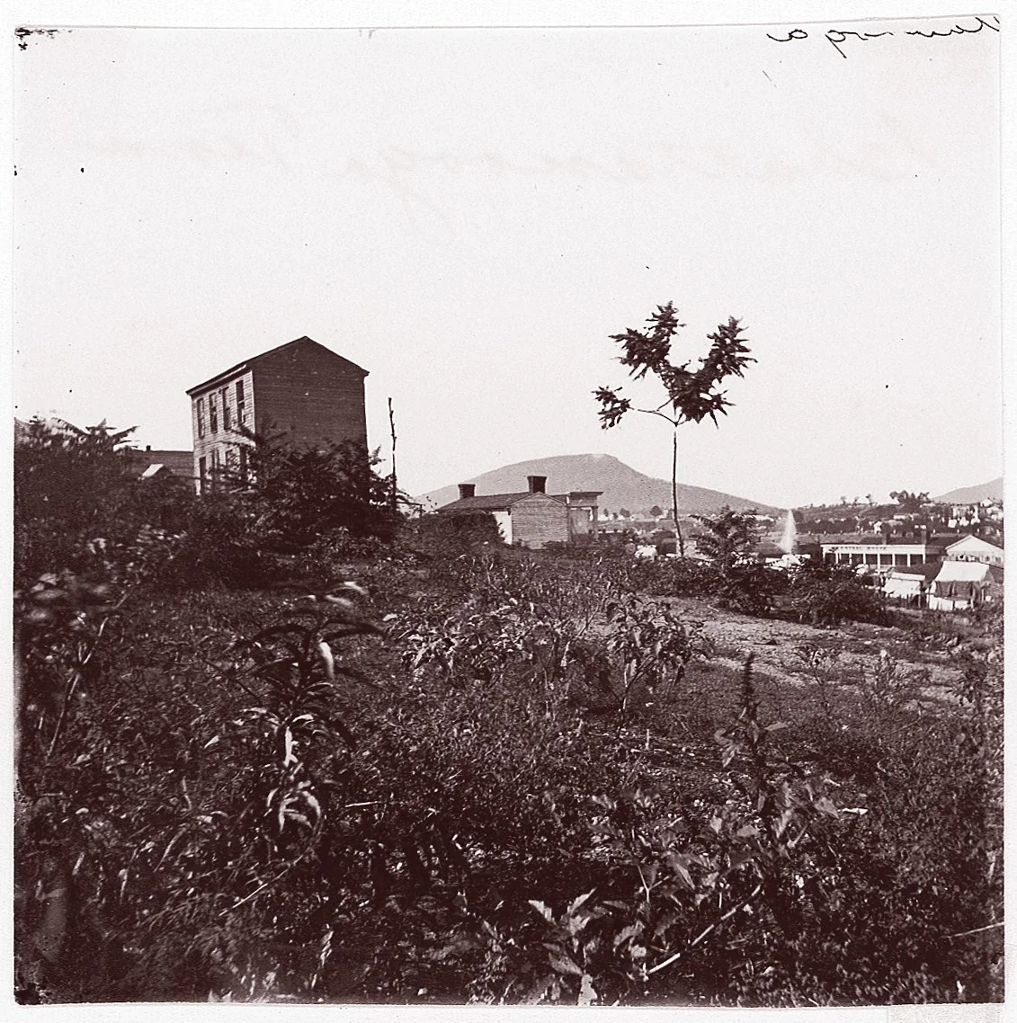 [View of Houses on Hillside, Chattanooga, Tennessee] by George N. Barnard, photograph, 1861-1865