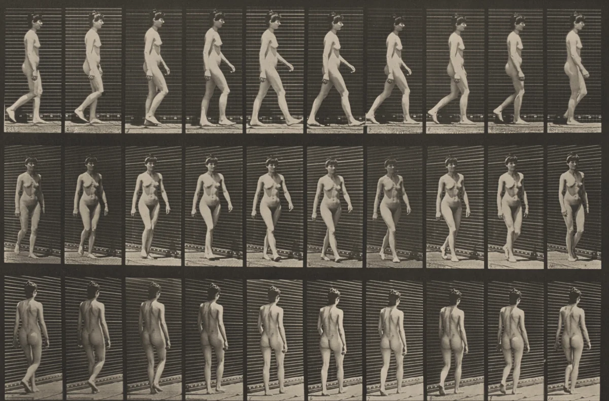 Plate Number 16. Walking by Eadweard Muybridge, photograph, 1887
