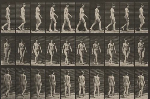 Plate Number 16. Walking by Eadweard Muybridge, photograph, 1887