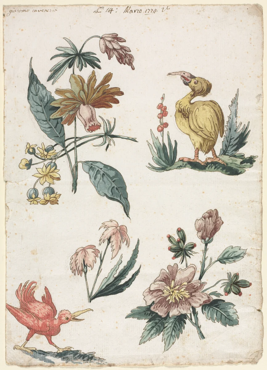 Floral Designs with Two Birds by Giacomo Cavenezia, drawing, 1774