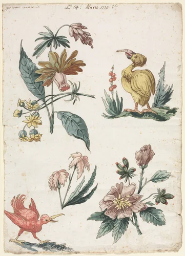 Floral Designs with Two Birds by Giacomo Cavenezia, drawing, 1774