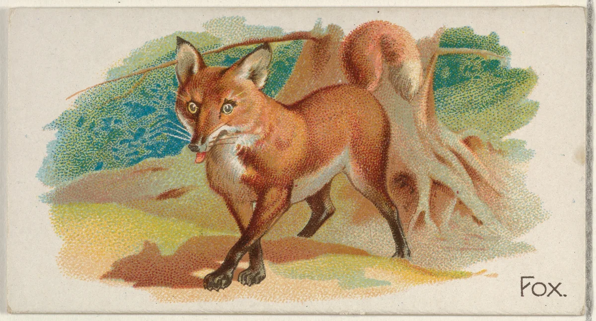 Fox, from the Quadrupeds series (N21) for Allen & Ginter Cigarettes by Allen & Ginter, print, 1890