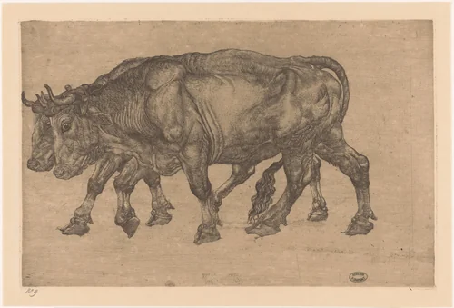 Twee ossen by Pieter Dupont, print, 1901-1902