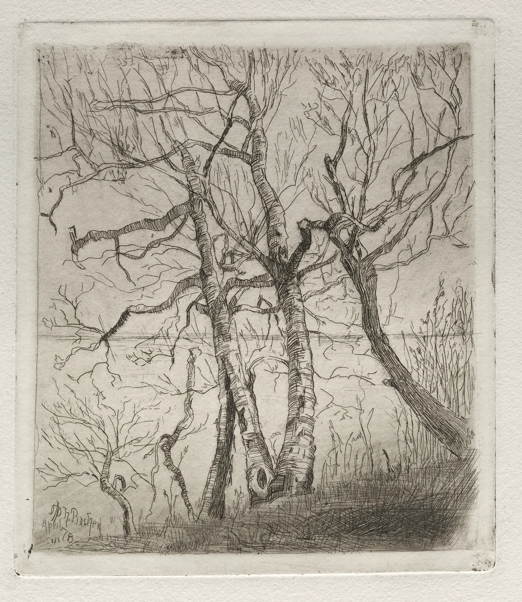 Woods by the Lake by Otto H. Bacher, print, 1878