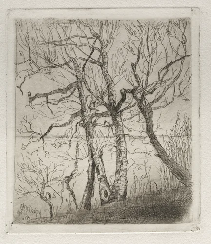 Woods by the Lake by Otto H. Bacher, print, 1878