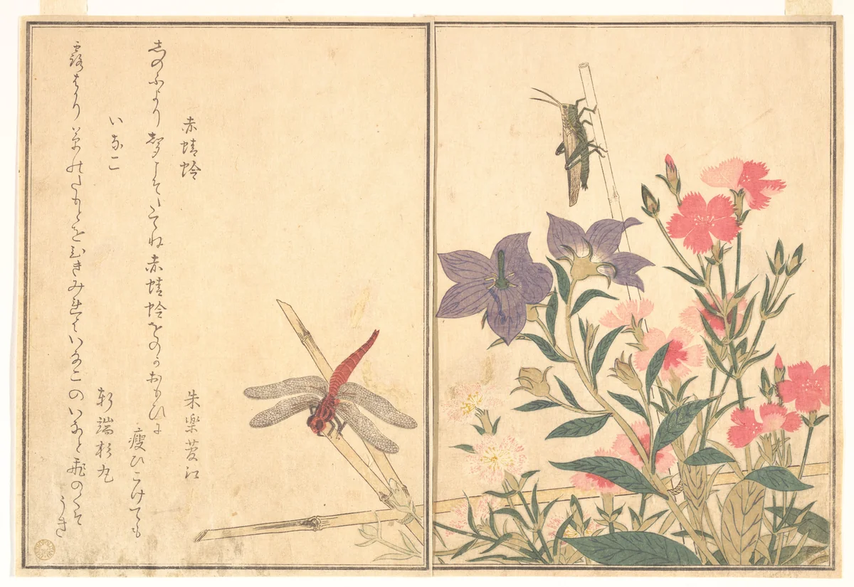 Red Dragonfly (Akatonbo); Locust (Inago), from the Picture Book of Crawling Creatures (Ehon mushi erami) by Kitagawa Utamaro (喜多川歌麿), print, 1788