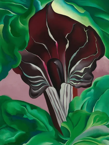 Jack-in-Pulpit - No. 2 by Georgia O'Keeffe, painting, 1930