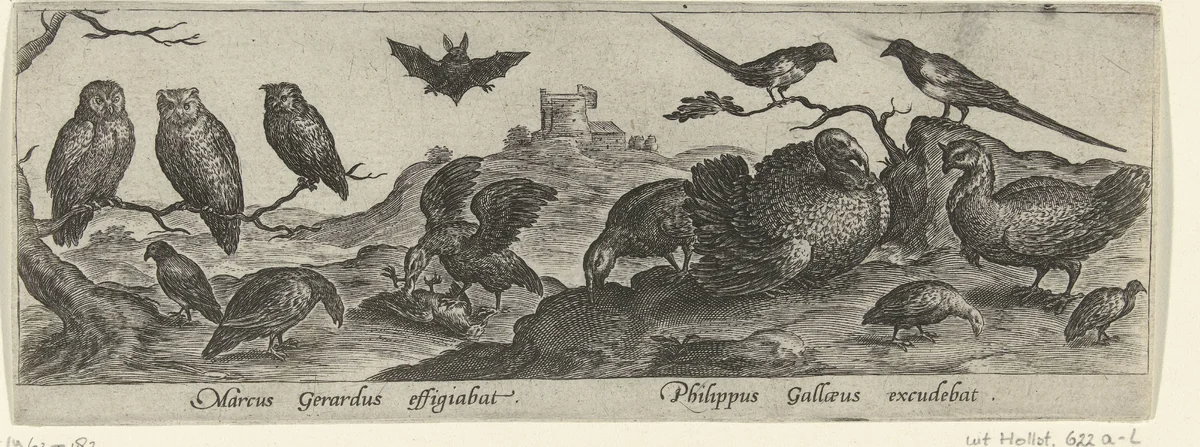 Veertien vogels waaronder een kalkoen en drie uilen by Unknown, print, 1547-1590