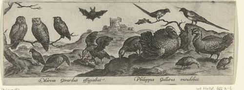 Veertien vogels waaronder een kalkoen en drie uilen by Unknown, print, 1547-1590