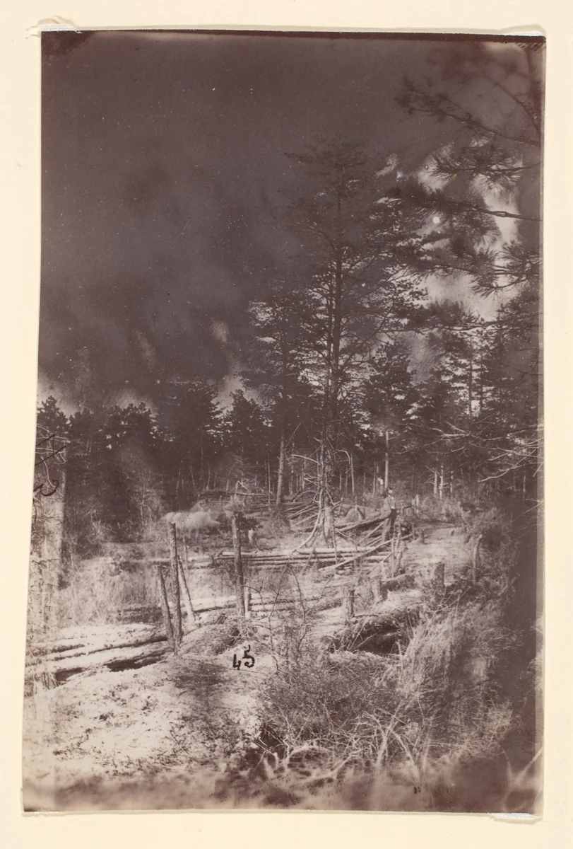 [The Wilderness Battlefield] by G. O. Brown, photograph, 1866