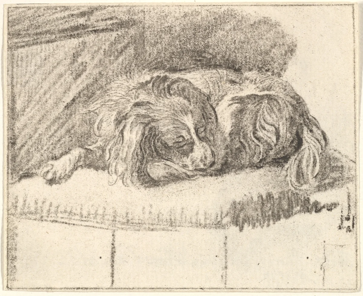 Sleeping Dog by Cornelis Ploos van Amstel, print, 1777