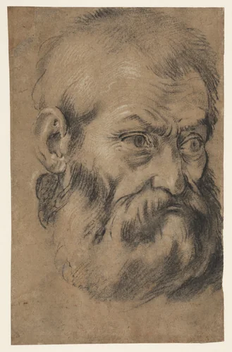 Head of beared man (recto), Study of an apostle (verso) by Giacomo Cavedone, drawing, 1615-1660