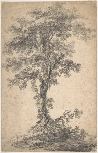 Study of a Tree by Jean Pillement, drawing, 1740-1808