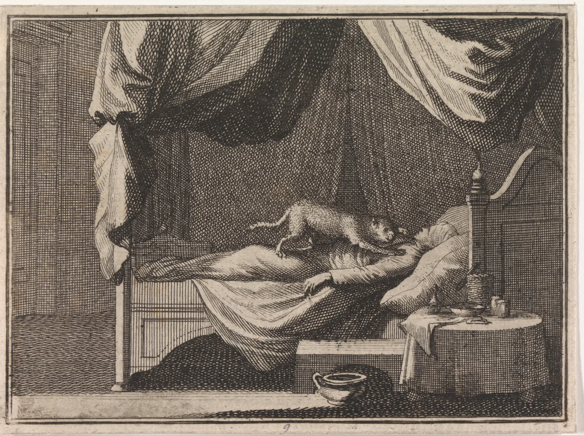 Slapende ketter wordt aangevallen door een kat by Caspar Luyken, print, 1710