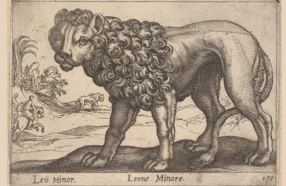 Kleine leeuw by Antonio Tempesta, print, 1565-1630