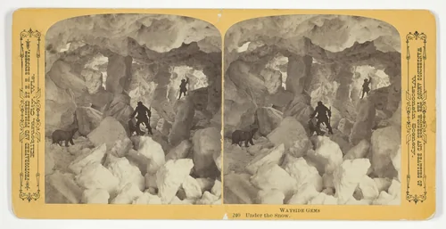 Under the Snow, No. 240 from the series "Wayside Gems" by Henry Hamilton Bennett, photograph, 1870-1889