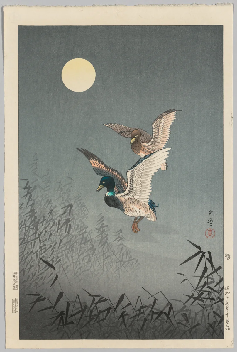 Tokyo Views: Ducks by Tsuchiya Kōitsu, print, 1940