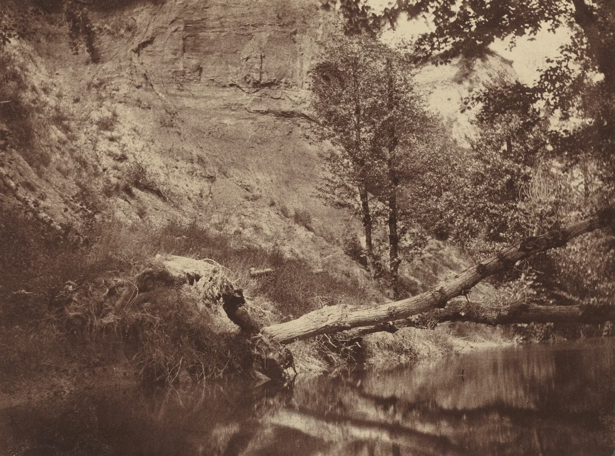 Riverbank by Frank Chauvassaigne, photograph, 1855
