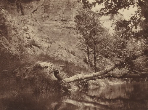 Riverbank by Frank Chauvassaigne, photograph, 1855
