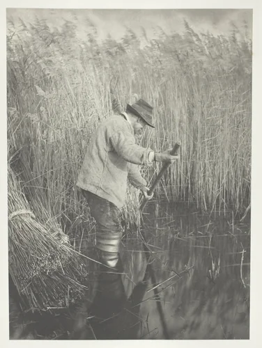 A Reed-Cutter at Work by Peter Henry Emerson, photograph, 1886