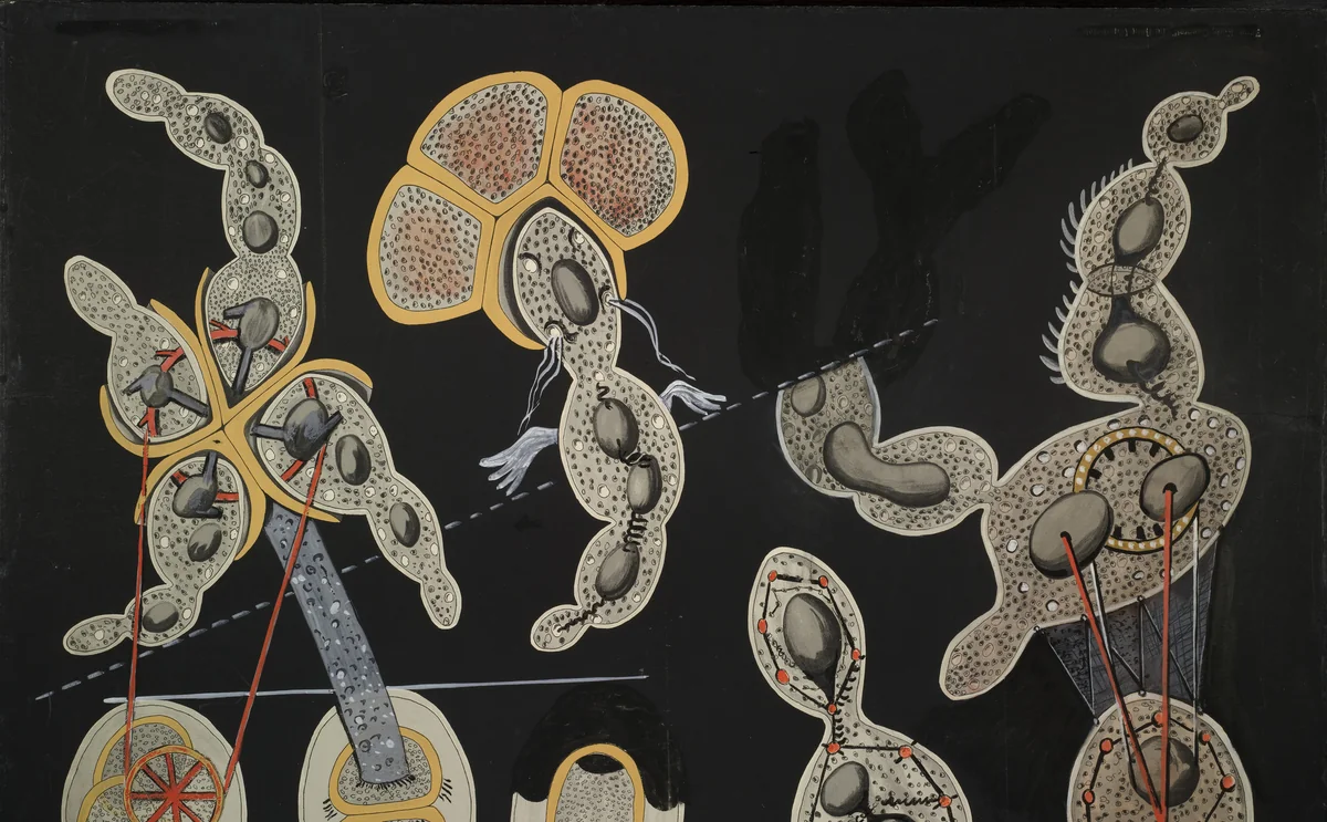 The Gramineous Bicycle Garnished with Bells the Dappled Fire Damps and the Echinoderms Bending the Spine to Look for Caresses (La Biciclette graminée garnie de grelots les grisous grivelés et les échinodermes courbants l'échine pour quêter des caresses) by Max Ernst, drawing, 1921