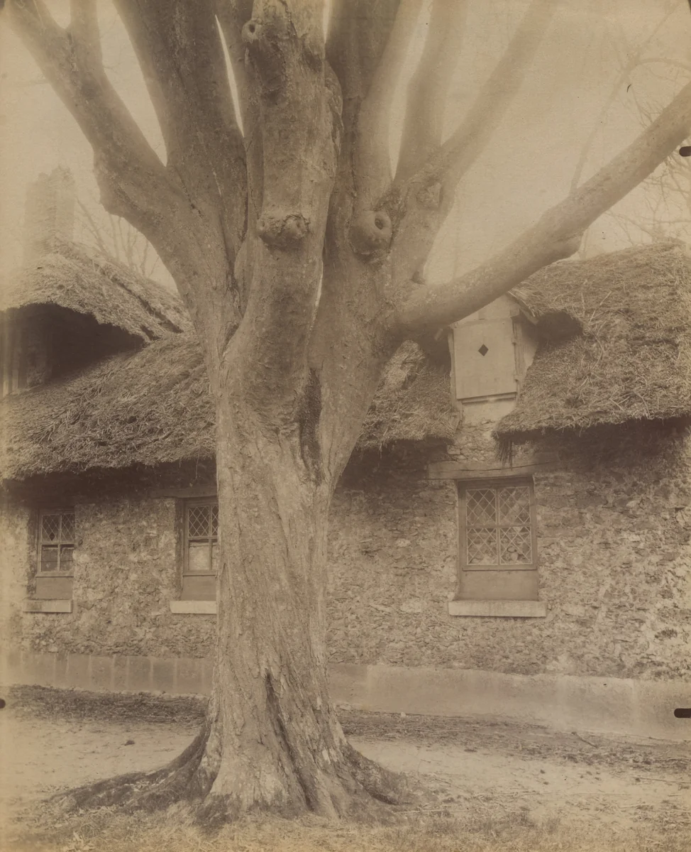 Petit Trianon by Eugène Atget, photograph, 1910