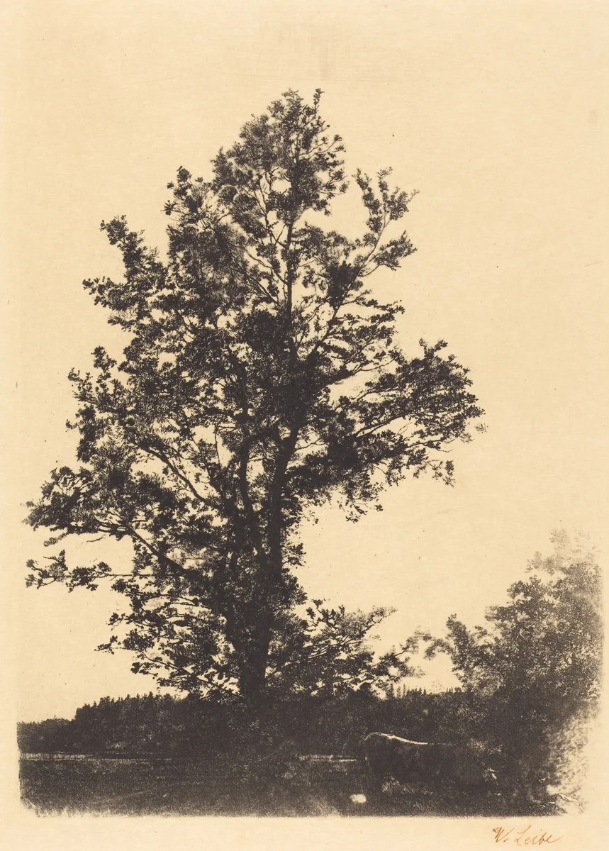 The Large Tree by Wilhelm Leibl, print, 1844-1900