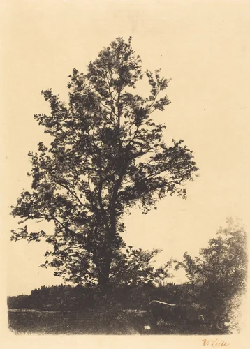 The Large Tree by Wilhelm Leibl, print, 1844-1900