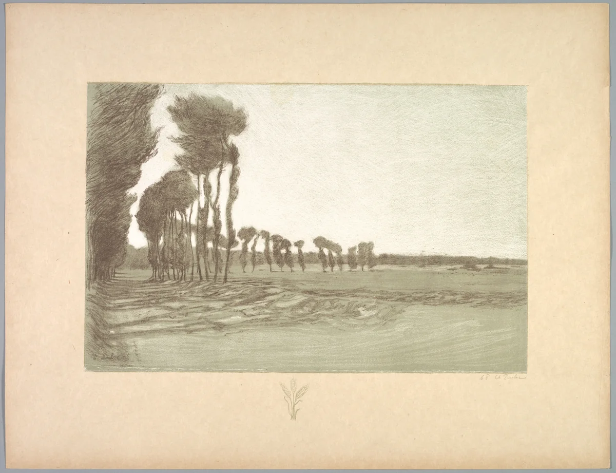 Suite de Paysages: Landscape, Plate 5, Remarque, Three Stalks of Wheat by Charles Marie Dulac, print, 1892-1893