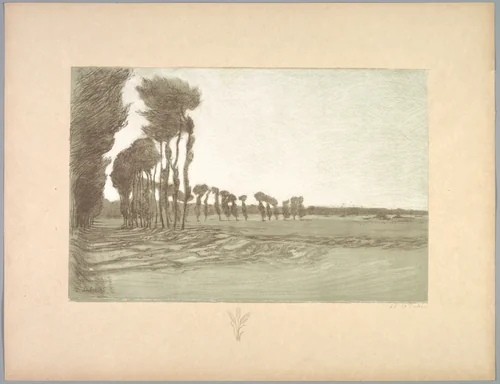 Suite de Paysages: Landscape, Plate 5, Remarque, Three Stalks of Wheat by Charles Marie Dulac, print, 1892-1893