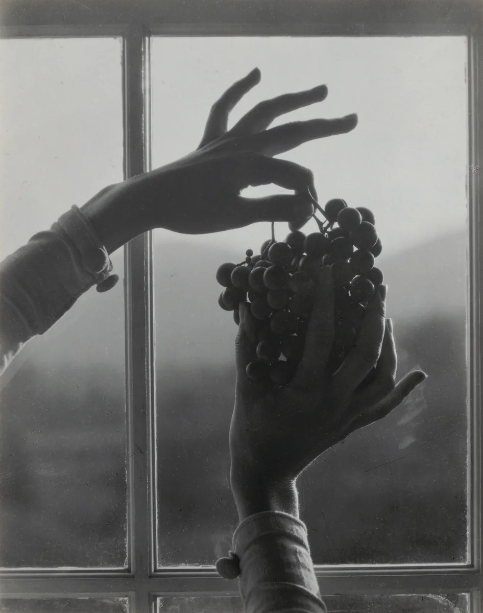 Georgia O'Keeffe—Hands and Grapes by Alfred Stieglitz, photograph, 1921