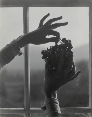 Georgia O'Keeffe—Hands and Grapes by Alfred Stieglitz, photograph, 1921