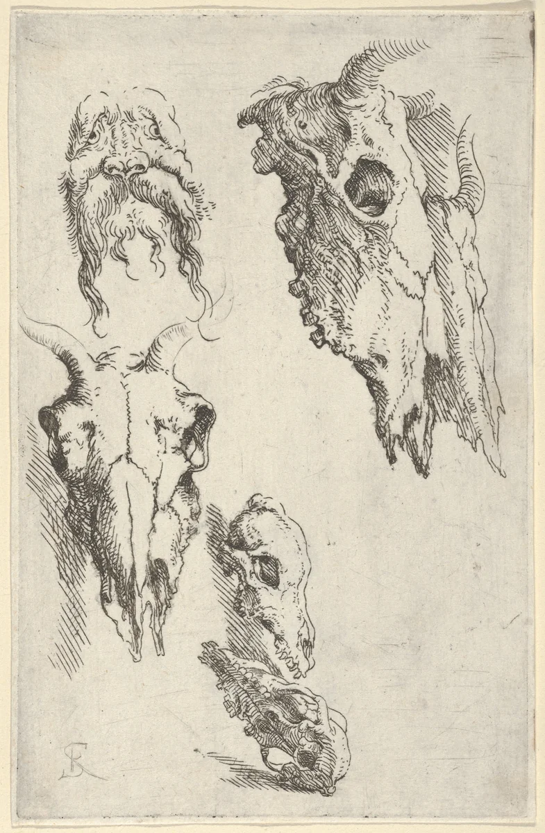 Three ox skulls, two horse skulls, and a grotesque head, study for "Democritus in Meditation" by Salvator Rosa, print, 1662