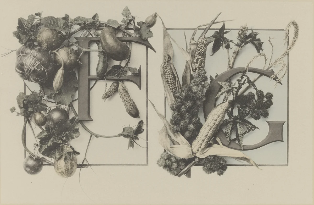 Page from Festons und Dekorative Gruppen by Unidentified Photographer, photograph, 1893