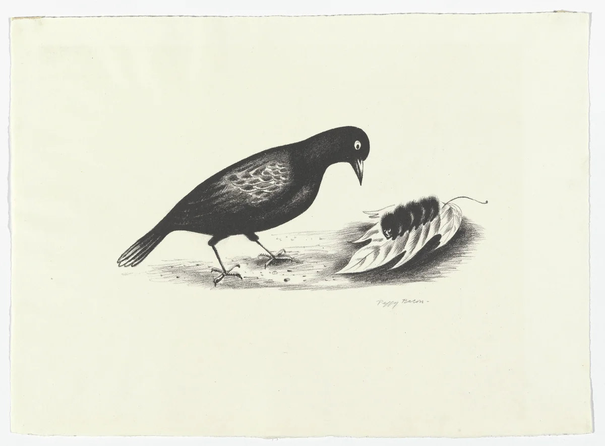 Lunch No. 4 - Custard by Peggy Bacon, print, 1928