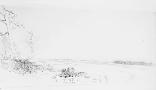 Cedar Trees near Atlantic City by William Trost Richards, artwork, 1868-1873