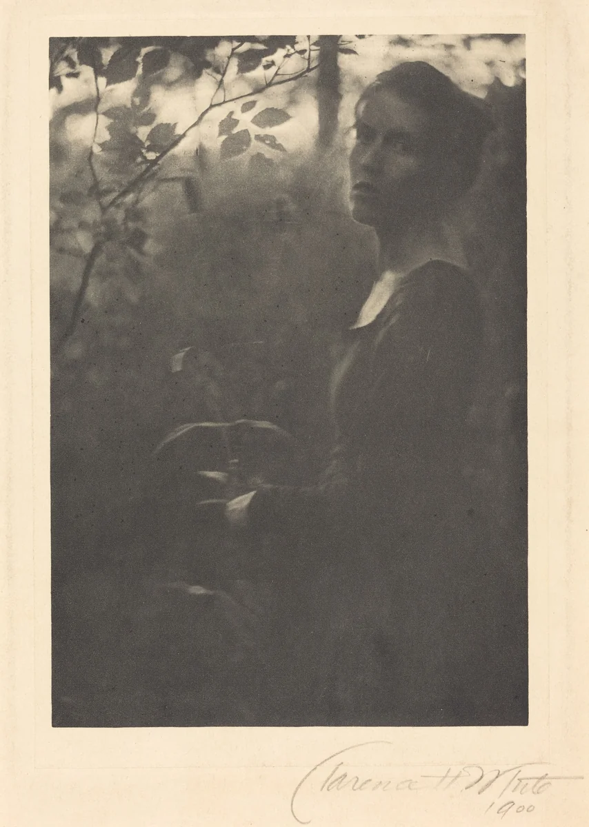 Edge of the Woods, Evening by Clarence H. White, photograph, 1900