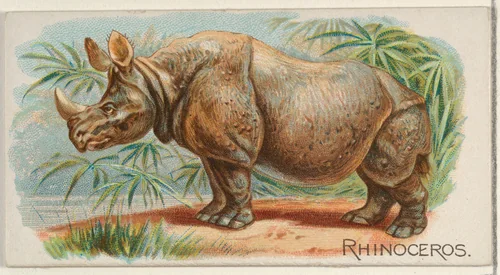 Rhinoceros, from the Quadrupeds series (N21) for Allen & Ginter Cigarettes by Allen & Ginter, print, 1890