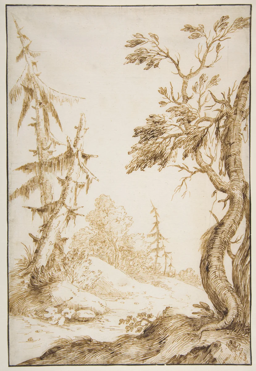 Clearing in a Wooded Landscape by Marco Ricci, drawing, 1676-1730