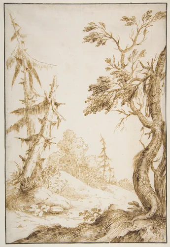 Clearing in a Wooded Landscape by Marco Ricci, drawing, 1676-1730