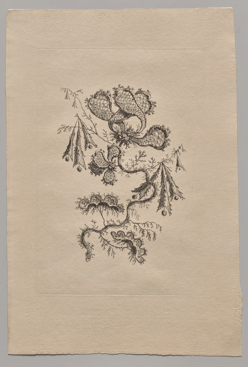 Persian Flowers by Jean Baptiste Pillement, print, 1755